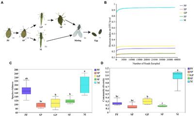 Dynamic changes in species richness and community diversity of symbiotic bacteria in five reproductive morphs of cotton aphid Aphis gossypii Glover (Hemiptera: Aphididae)